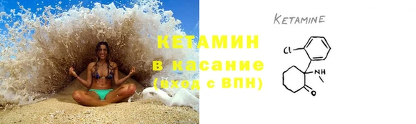 прущие грибы Верхний Тагил